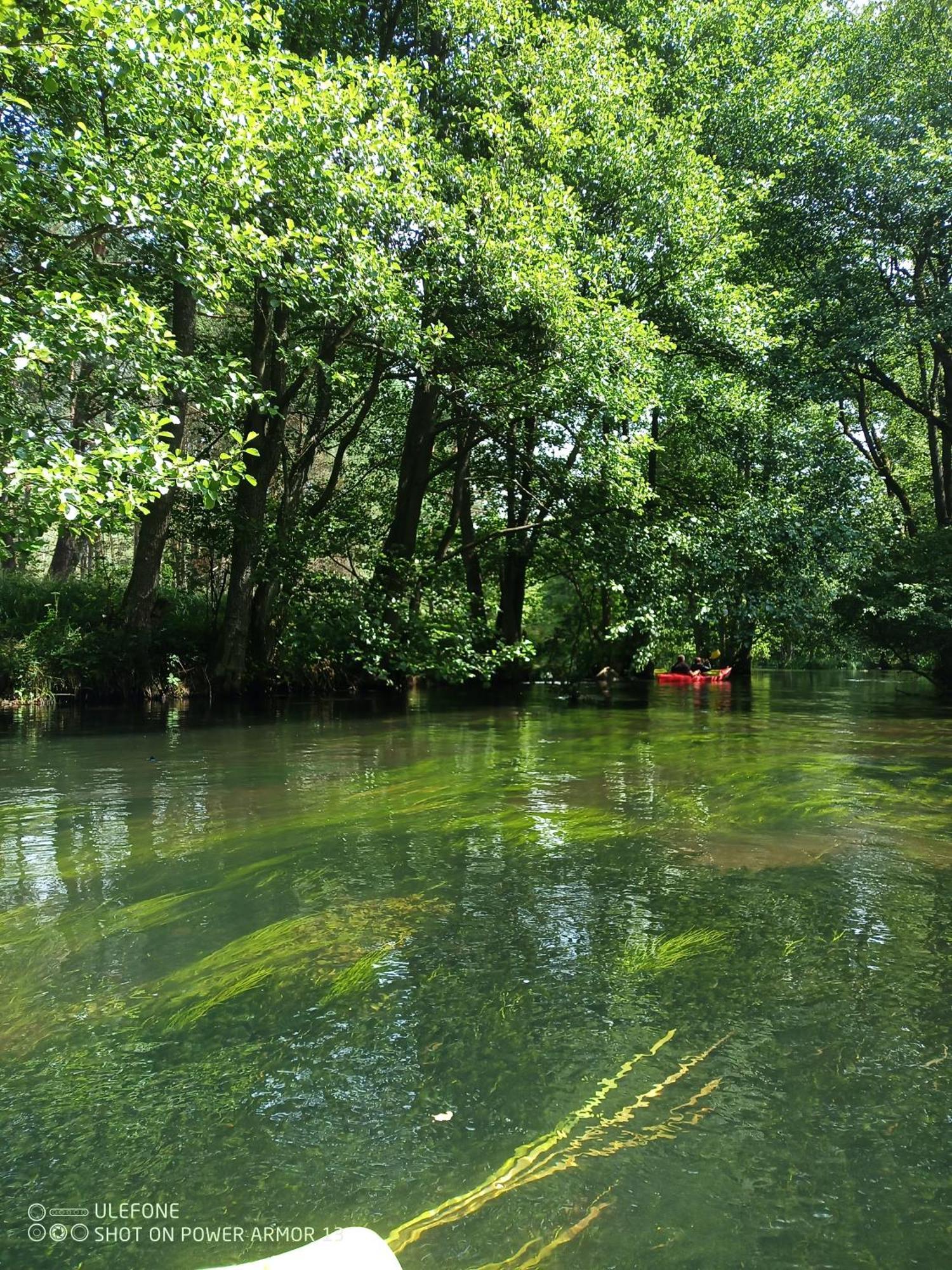 Agroturystyka Gramburg Zblewo Dış mekan fotoğraf